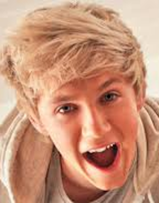 How about Nialldo's? ~ A Niall Horan and 1D Fan-fic ~