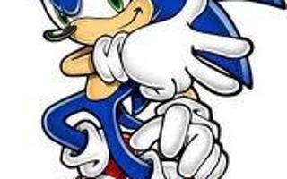 Torn Within (Sonic The Hedgehog