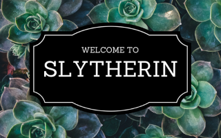 The tale of a not so bad Slytherin