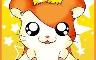 Hamtaro little hamster big adventures