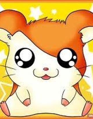 Hamtaro little hamster big adventures