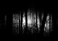 Horror Poems:: GOod reads:: Enjoy!