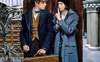 Tina and Newt fan fiction (Fantastic Beasts and Where to Find Them)