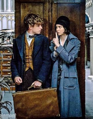 Tina and Newt fan fiction (Fantastic Beasts and Where to Find Them)