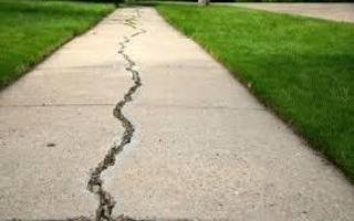 Cracks in the sidewalk