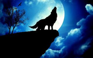 Moon Wolf