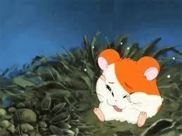 Hamtaro get lost