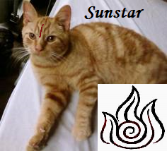 Sunstar (Warriors)