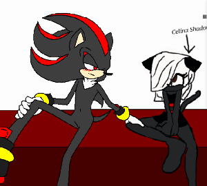 Mystery Solved (Celina X Shadow)