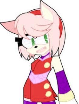 Amy Rose the hedgehog