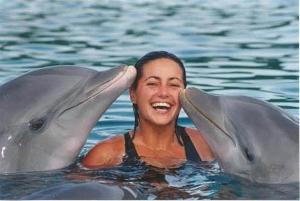 Swim with dolphins