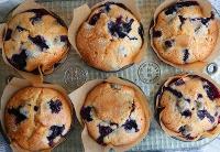 Blueberrylicous blueberry muffins (@BlueTheQuizWhiz97)