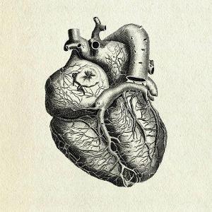 The Sad And Rotting Heart