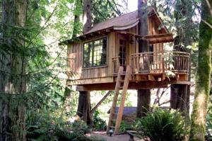 Sleep in a tree house