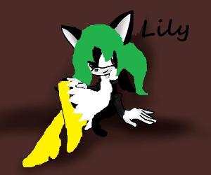 Lily the Cat