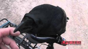 Pet crow on bicycle ride