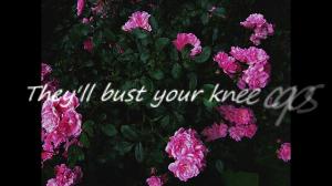 Pomplamoose - Bust Your Kneecaps | Lyrics