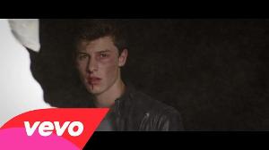 Shawn Mendes - Stitches (Official Video)