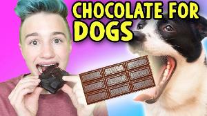 DIY CHOCOLATE BAR FOR DOGS ! And People, I Guess