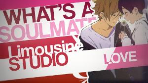 「LimS™」▸ WHAT´S A SOULMATE? - MEP