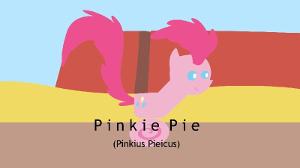 Road Runner Pinkie Pie