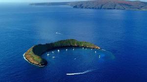 Petition · Prevent the Bombing of Molokini, July 2020 · Change.org