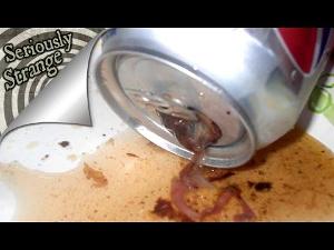 Disturbing Things Found in Food | SERIOUSLY STRANGE