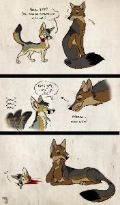 Kit Fox Tragedy by Culpeo-Fox on DeviantArt