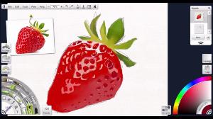 HECCIN STRAWBERRY SPEEDPAINT