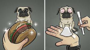 How Dogs See The World In 7 Funny Illustrations | Top 25s |