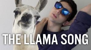 THE LLAMA SONG