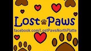 LOST PAWS (Lost/Found Pets in North Platte, NE. & Surrounding Areas)