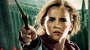 If Hermione Were The Main Character In Harry Potter