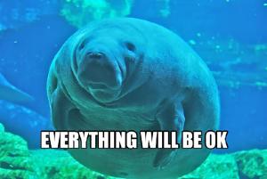 Calming Manatee