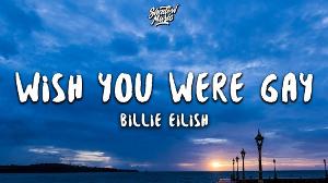 Billie Eilish - wish you were gay (Lyrics)