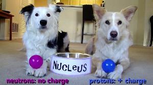 Dogs Teaching Chemistry - The Atom