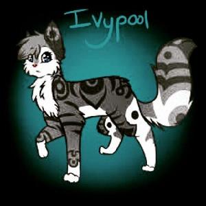 Warrior cats fanclub!