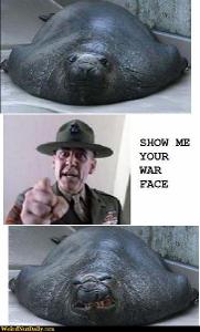 Funny Pictures @ WeirdNutDaily - Walrus War Face