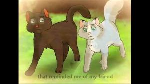 Hollyleaf | Don't You Worry Child (picture music video)