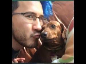 Markiplier Vine Compilation (as of early 2016)