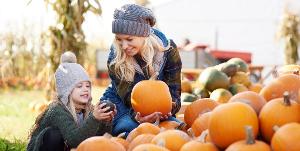 40 Best Halloween Activities - Fun Halloween Things to Do At Home With Kids