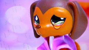 Littlest Pet Shop: Popular (Episode #28: Love You, Love You Not)