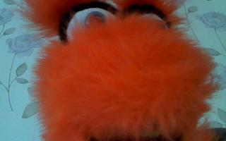 Do puppets scare you? Someone at my Puppet Pals Page said that puppets scare him. What do you think?