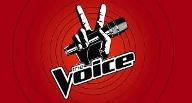 Does anyone watch the Voice?