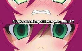 Who's your senpai?Real and/or fictional? I'm just wondering since I bearly have any.