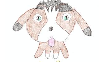 Is this a good piece of art? I spent quite a while on it and I got some positive feedback but I'm bringing this into Questions so that more people can see it.  I drew McNulty, a Puppy from moshi monsters (I'm beauty784) I focused on it for a while, made a draft and then made this final piece. I guess it worked out because I tried my best. Isn't McNulty cute? Thanks.