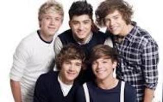 which is your favourite one direction member? Who is ur fav 1d member. Do u like niall, louis, zayn, harry or liam.