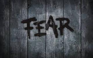 What Is Your Greatest Fear? Its OK To Admit What Scares You, Be It Something Like Being Scared Of the Dark To Being Scared That Someone You Care About Dies. My Greatest Fear Is Everyone I Love Dies And I'm Left By Myself Forever.