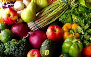 Is it true that the vegetarian diet can affect the development of the brain?