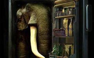 How can you put an elephant in a refrigerator in 3 steps?